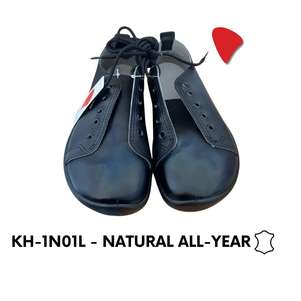 KH-1N01L-700-40.5