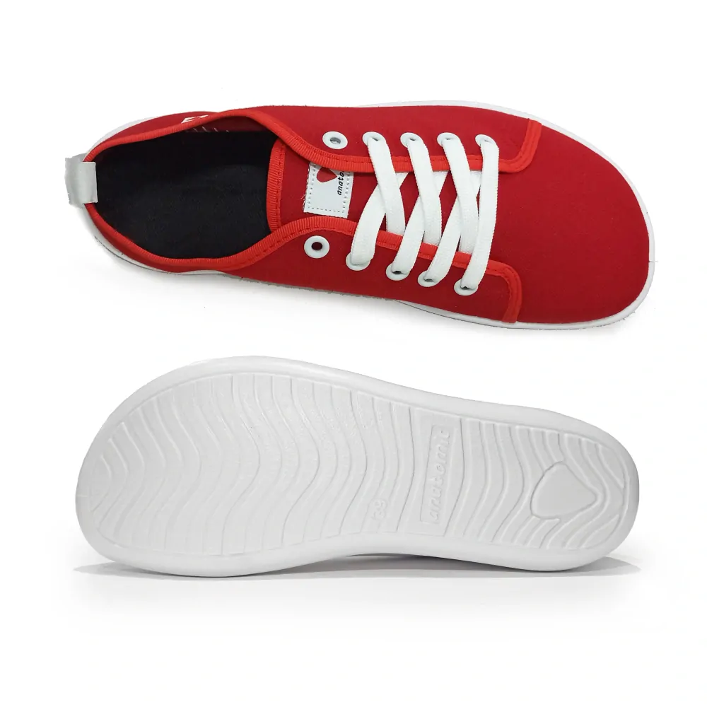 NATURAL CANVAS - 1N02